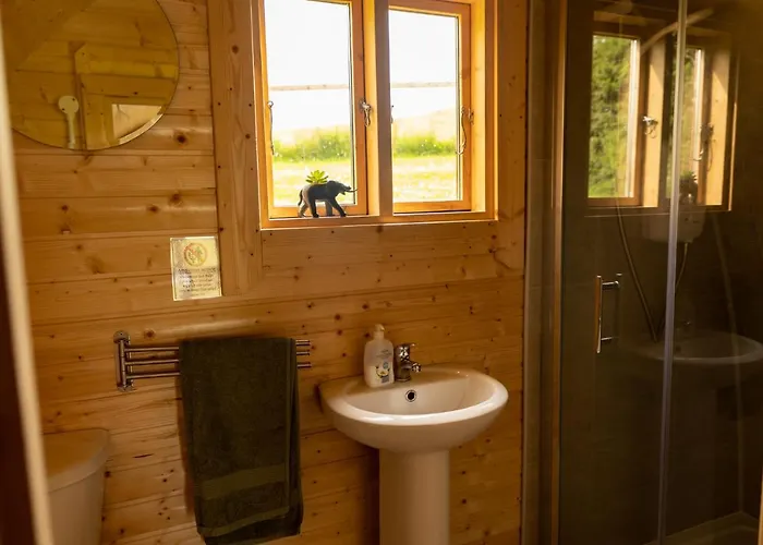 Ivy Hill Glamping Pod Lägenhet Ennis